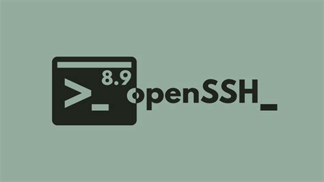 openssh 的图像结果