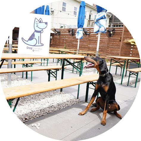 Dog Friendly Omaha Restaurants - Dog Friendly Omaha