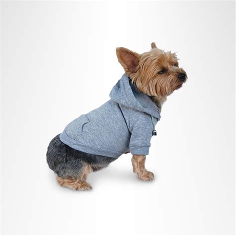 12 Photos of Dogs Wearing Cute Clothes