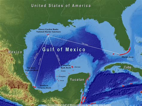 Map of the Gulf of Mexico showing the location of the Flower Garden ...