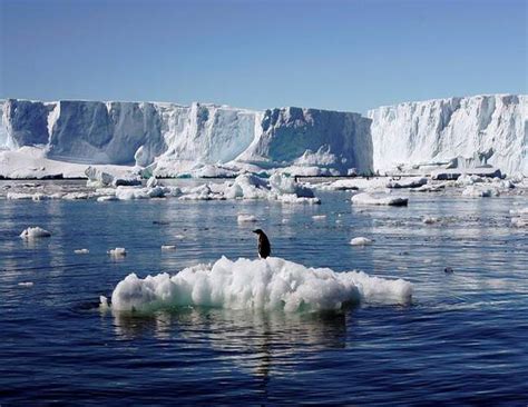 Antarctica going green: Rising temperatures melt ice in continent, snow ...