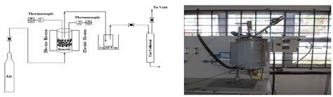 Gasification of Biochar from Empty Fruit Bunch in a Fluidized Bed Reactor