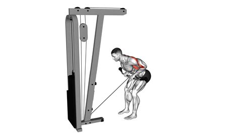 Image result for Cable Bent Over Row