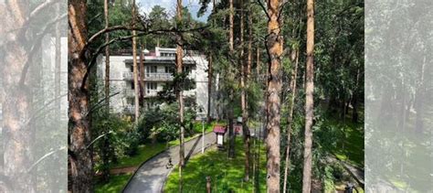 Отель с рестораном в лесу. Готовый бизнес купить в Санкт-Петербурге ...