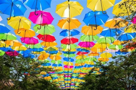 10 Great Places in Miami only Locals Know - Discover Hidden Gems in ...