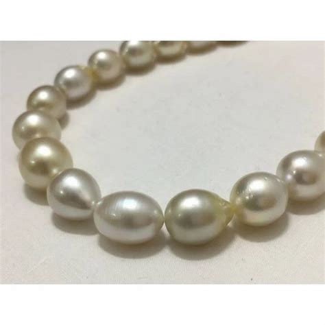 loose south sea pearl - SSGJ Mabe Button Shape Loose Pearl Shree Shyam ...