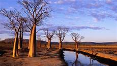 Australian Wallpaper by Australia Wallpapers Best Wallpapers Australian Wallpaper