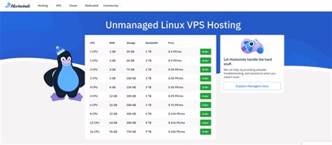 Image result for Unmanaged VPS Hosting
