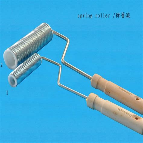 Image result for Spring Roller