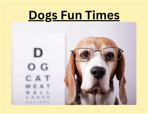 How Dogs See Colors 的图像结果