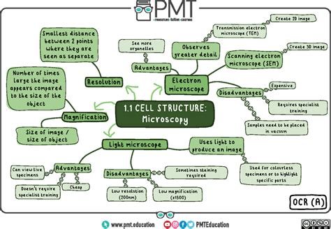 Cell Structure Concept Map 的图像结果