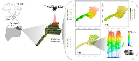 Measuring Individual Tree Diameter and Height Using GatorEye High ...