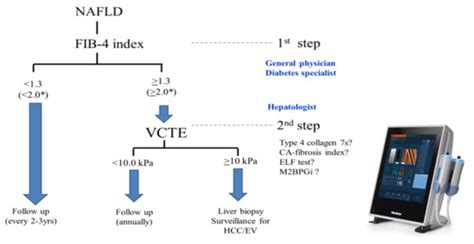 Epidemiology, Pathogenesis, and Diagnostic Strategy of Diabetic Liver ...