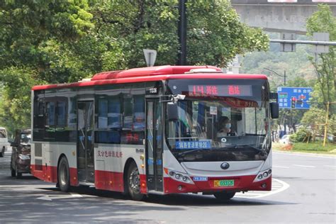 温州公交14路 - 瓯越交通百科