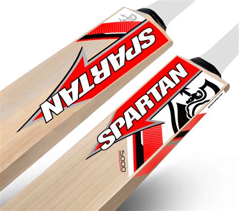 Buy English Willow Cricket Bat Online – Beginner Quality – Spartan ...