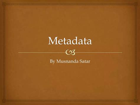 Metadata GIS 的图像结果