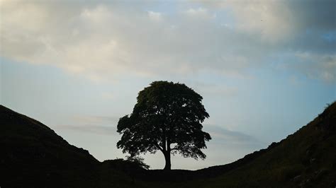 28 Years Later Director Explains Appearance of Britain's Most Iconic ...