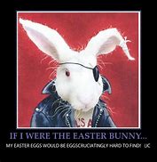 Image result for Baby Bunny Memes