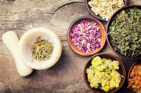 Herb Medicine 的图像结果