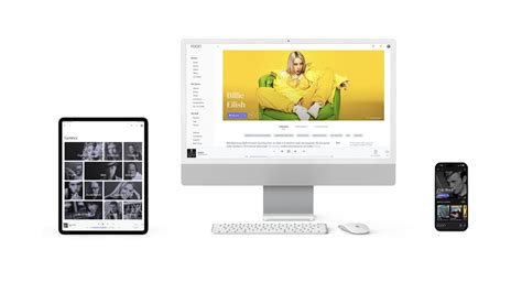 Image result for Using Roon