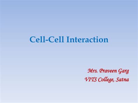 Cell-Cell Interaction 的图像结果