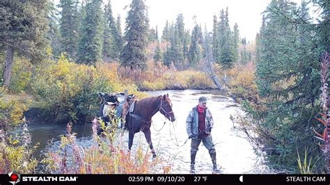 Trail Cam Pics - Rainy Pass Lodge