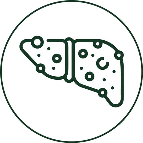 KM20 Dual-Target Natural Liver Tonic for Fatty Liver & Social Drinkers