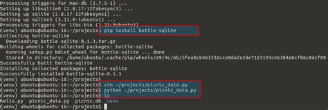 Bottle Framework Python 的图像结果