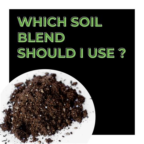 Choosing the Right Potting Soil - Biologic Crop Solutions