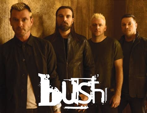 Pin by Erin Alliet on Concerts I've seen | Bush band, Concert, Bush
