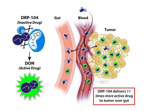 Chemotherapy Side Effects Diagram Medical And Health Encyclopedia