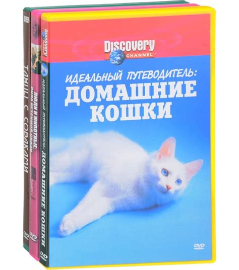 Фильмы про котов, документальные сериалы про кошек, топ лучших