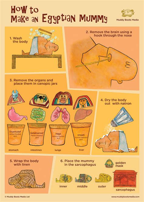 Mummy Making Process 的图像结果