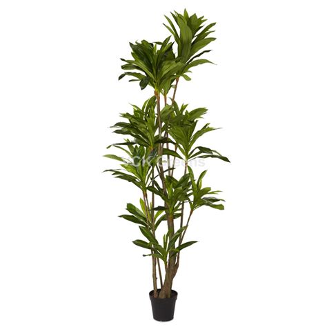 Artificial Jumbo Dracaena Plant 10ft With Pot – VCK Greens