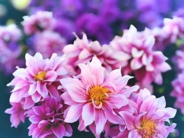 Funeral Homes In Milledgeville, Georgia | Legacy.com