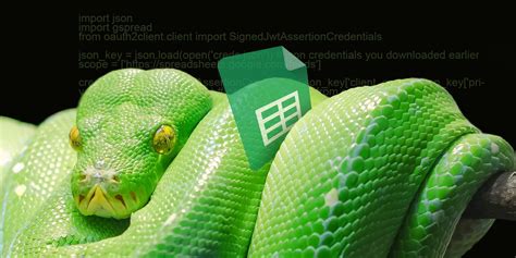 Image result for Google Sheets Python