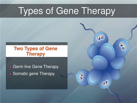 PPT - About The Gene Therapy PowerPoint Presentation, free download ...