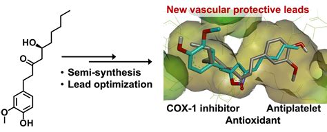 Preparation and Evaluation of 6-Gingerol Derivatives as Novel ...
