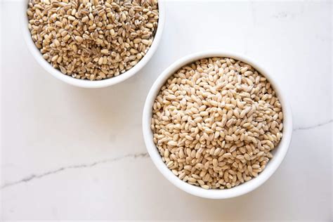 Barley: What Is It And Is It Good For You? - The Forked Spoon