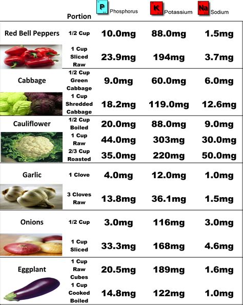 Printable Renal Diet Food List
