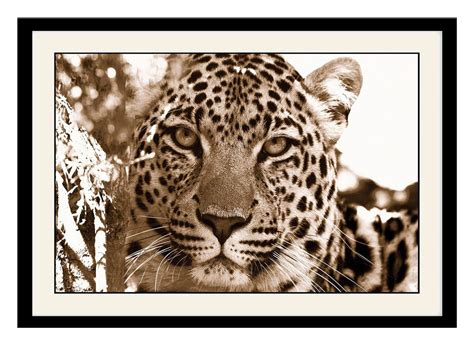 ArtStory Wooden Tiger Face Amazing Framed Wall Painting (30 cm x 20 cm ...