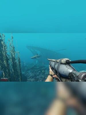 Image result for Stranded Deep PC