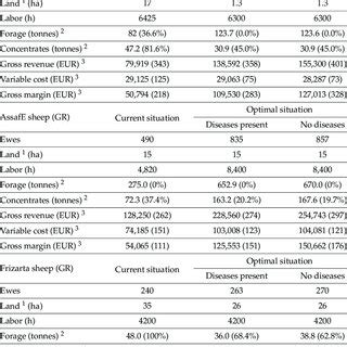 Binary LP Model 的图像结果