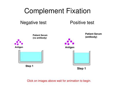 Neutralization Test 的图像结果