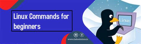 Linux Commands for Beginners 的图像结果