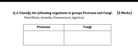 2.6 Classify the following organisms in groups Protozoa and Fungi. (2 ...