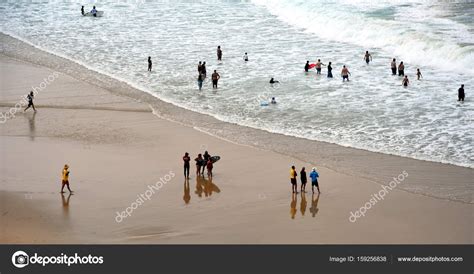 Swim in the Sun 的图像结果