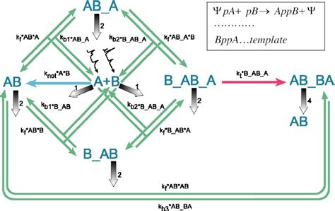 Syntribating Pool 的图像结果
