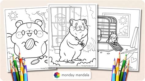 Hamster Coloring Pages