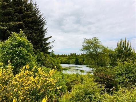 Crombie Country Park (Forfar) - 2020 What to Know Before You Go (with ...